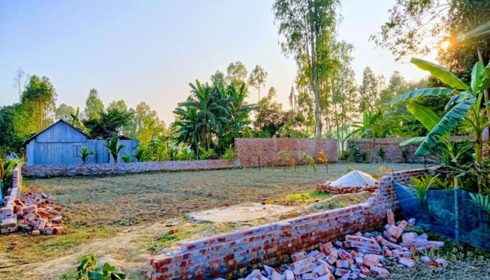 সাঘাটায় পুর্ব শত্রুতার জের ধরে নারী উদ্যোক্তার বসতবাড়ি ভাংচুর