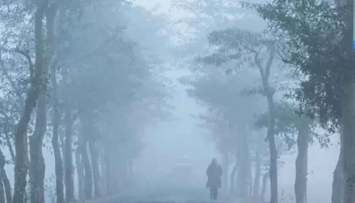 জানুয়ারি জুড়ে থাকবে শৈত্যপ্রবাহ, বাড়বে শীতের তীব্রতা