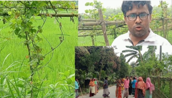 গাইবান্ধায় পৈত্রিক জমি দখলের অভিযোগ, নিরাপত্তা চেয়ে প্রশাসনের দ্বারস্থ ভুক্তভোগী মনারুল।