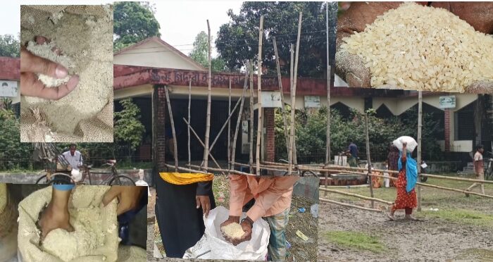 গাইবান্ধায় ধুলা ও পোকাযুক্ত সরকারি ভিজিএফের নিম্নমানের চাল বিতরণের অভিযোগ